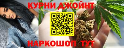 сатива Ирбит