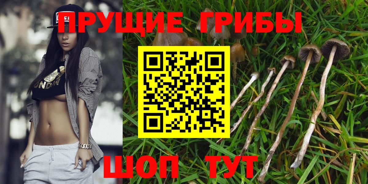 Кушва  Галлюциногенные грибы Magic Shrooms  Вход с VPN 